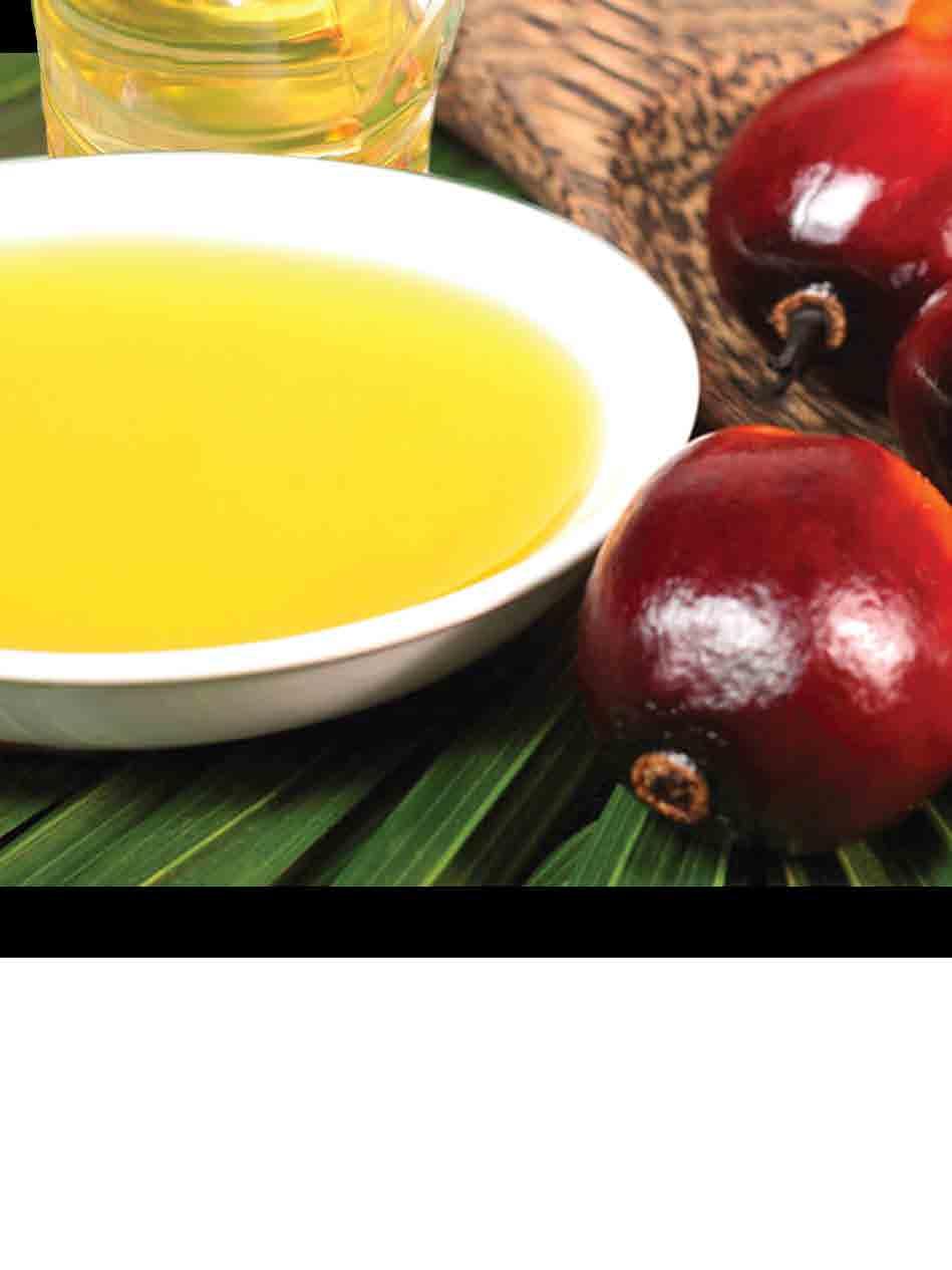 Transforming from the Tradition... Demand for Palm Oil The edible oil requirement of Sri Lanka is day by day increasing and the Coconut industry is failing to cater the requirement.