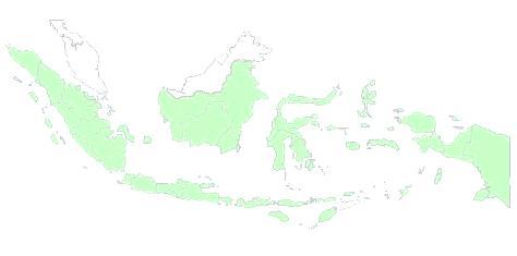 INDONESIA AT GLANCE More than 17.000 islands 33 provinces, 399 municipalities, 79.075 villages Population: + 237 million, 44% lives in the city.