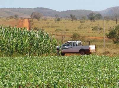 By moving into Brazil, KWS is now extending its activities to the world s third-largest corn market one that also has the strongest growth potential.