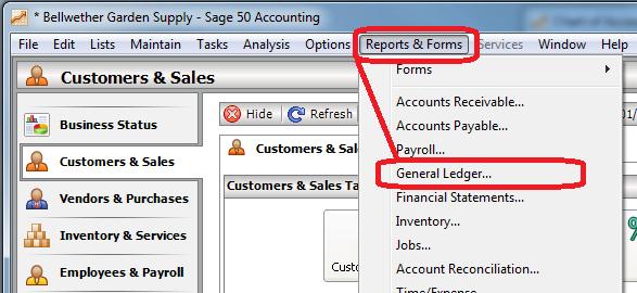 Within the Chart of Accounts Report is the Account Established?