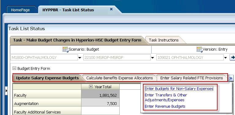 The Budget Entry form is composed of different tabs which will allow users to enter budget amounts all on one