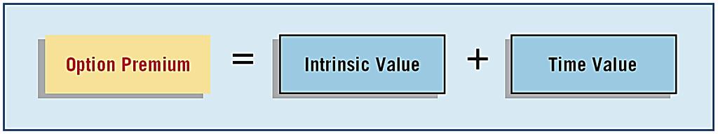 APPENDIX 17A ACCOUNTING FOR DERIVATIVE INSTRUMENTS Derivative Financial Instrument (Speculation) The option premium consists of two amounts.