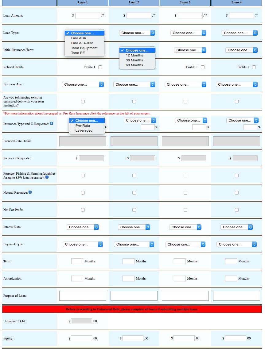Figure 4: Loan Information Loan Insurance Term. Use this dropdown box to choose insurance billing options. Refinance Existing Bank Debt.