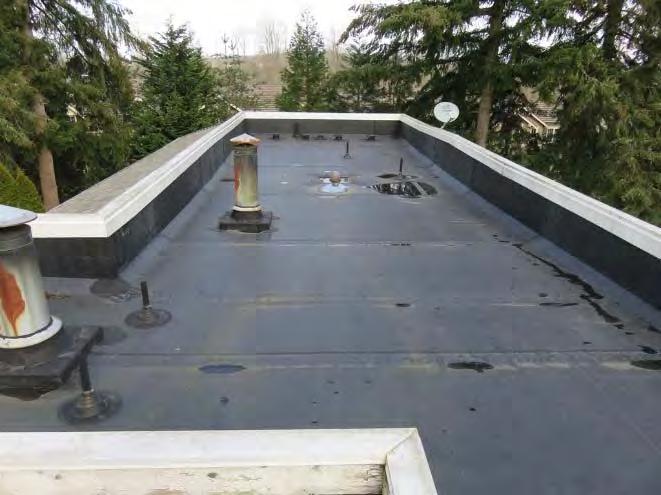 Typical Flat Roof with