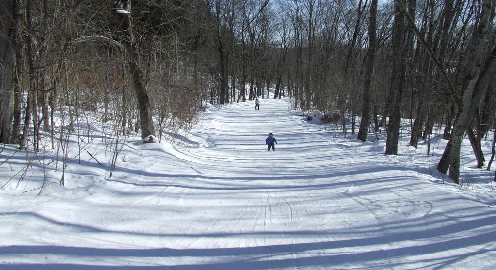The members of the club purchased the Hidden Valley Highlands Ski Area in 1971, making it one of Ontario s oldest and most established ski areas.