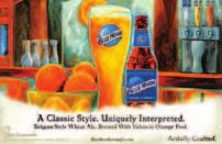 SABMiller plc Annual Report 2010 Strategic priorities 17 Blue Moon rises in a falling market Although much of the beer market in the USA has suffered from the economic slowdown and a trend among some