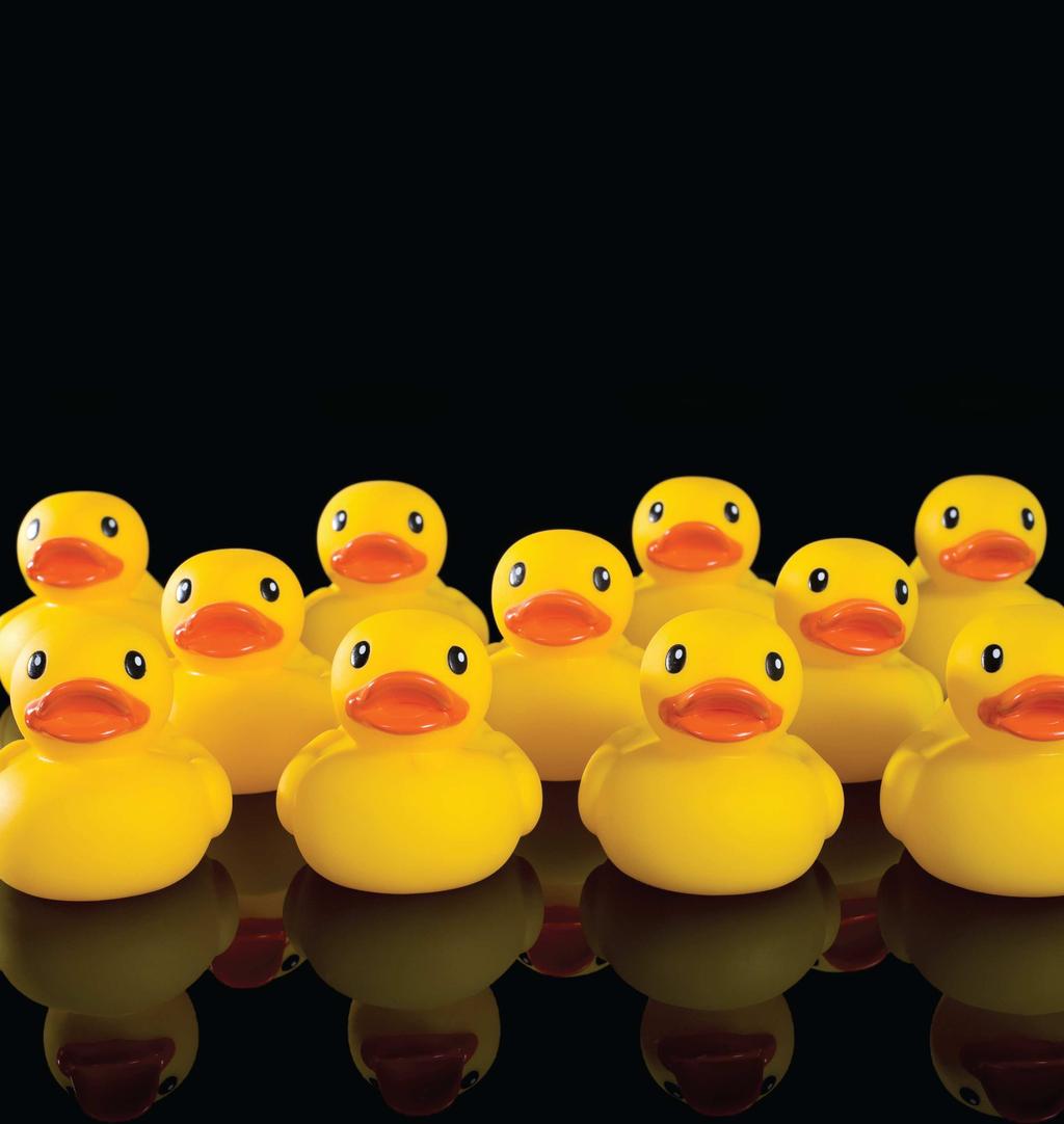 ARE YOUR SOLVENCY II DUCKS