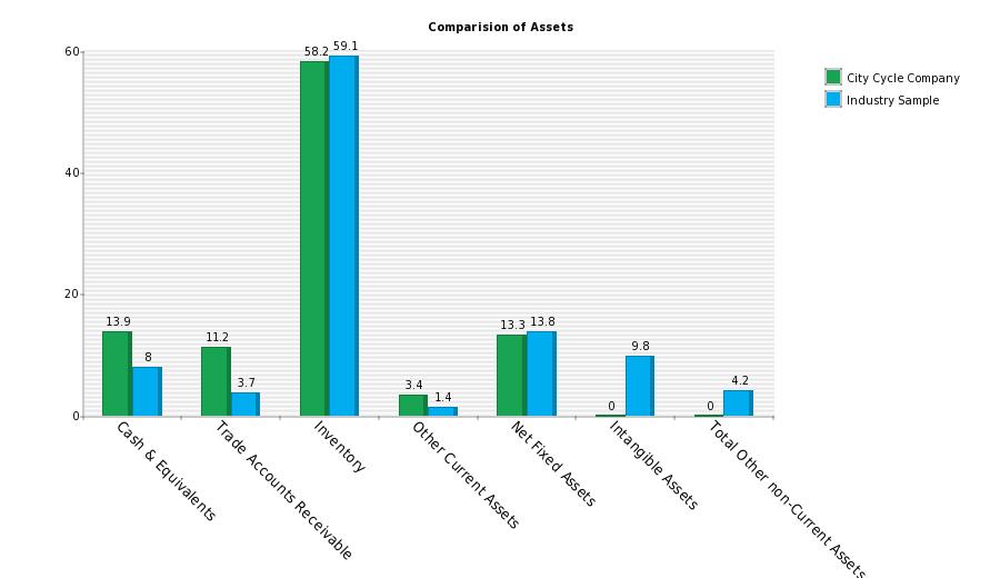 Comparison of Asset Components for City Cycle Company Y Axis = % of Total Assets Note: Above industry figures are