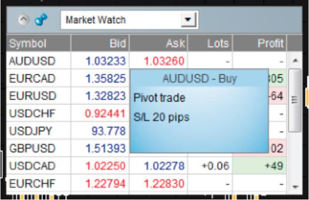 1. MARKET MANAGER The Market Manager does four main things: It shows a watch list of both symbol prices and open positions, with facilities for closing positions and opening new ones It shows