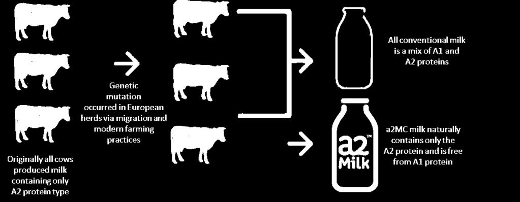 What is the a2 Milk brand difference?