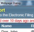 Online displays the E-file Report