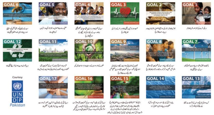 Vertical Policy Coherence Institutional Mechanisms Government has established SDG Support Units at federal and provincial levels with UN assistance, and has created the SDG Secretariat within the