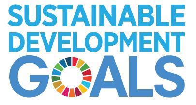 Responsible Countries The 17 Sustainable Development Goals (SDG s) On 1 January 2016, the 17 (SDGs) of the 2030 Agenda for Sustainable Development officially came into force.