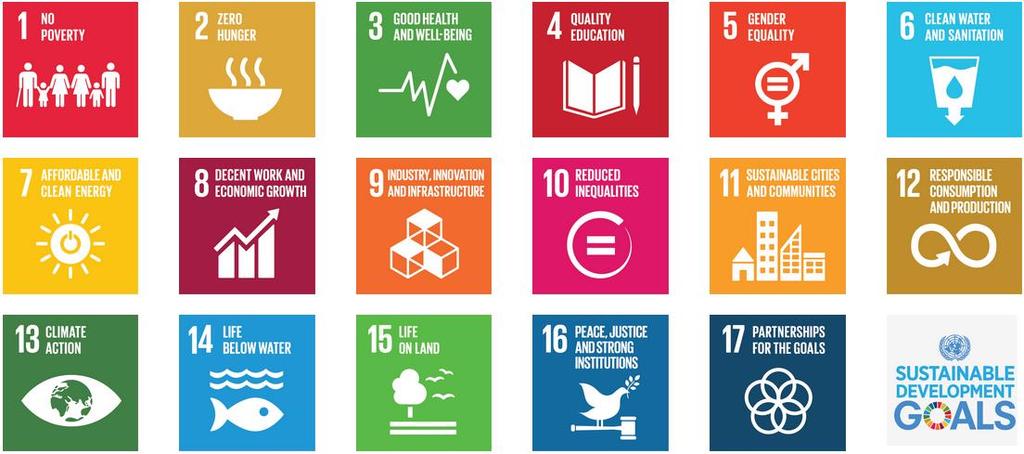 The 17 Sustainable Development