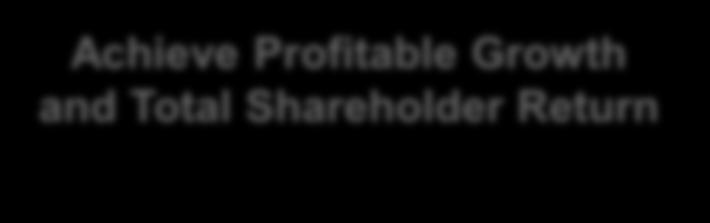 to drive profitable growth Achieve Profitable Growth and Total Shareholder