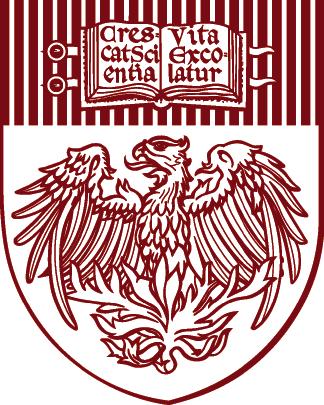 The University of Chicago 2010 2011 Financial
