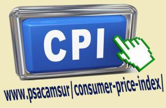contracts as well as pensions and retirement benefits. Increases in wages through collective bargaining agreements use the CPI as one of their bases. COMPONENTS OF CPI: A.