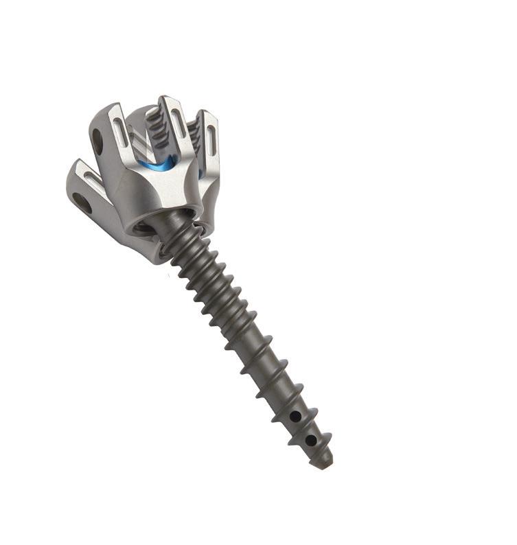 REIMBURSEMENT GUIDE CD Horizon Solera 5.5/6.0mm Fenestrated Screw Set DEVICE DESCRIPTION The CD Horizon Solera 5.5/6.0mm Fenestrated Screw Set consists of a variety of cannulated multi-axial screws (MAS) with fenestrations.