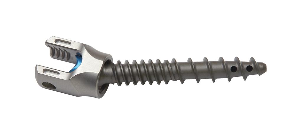 INDICATIONS FOR USE When used in conjunction with Medtronic HV-R Fenestrated Screw Cement, the CD Horizon Solera Fenestrated Screws are intended to restore the integrity of the spinal column even in