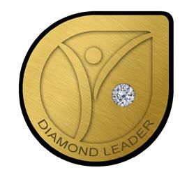 DIAMOND POOL ½% pool for Diamond, Double Diamond, and Triple Diamond s with the shares divided as follows: Diamond receives a base of one share per week for qualifying and an additional share for