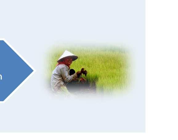 RIICE Business Model: Multi-stakeholder partnership to deliver crop insurance