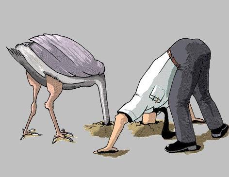 Is it ethical to be an ostrich?