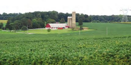In 2011 Chester County ranked second with agricultural crop, livestock, and dairy production valued at $597,095,000.