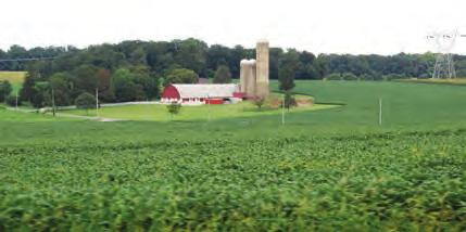 In 2012 Chester County ranked second with agricultural crop, livestock, and dairy production valued at $660,744,000.