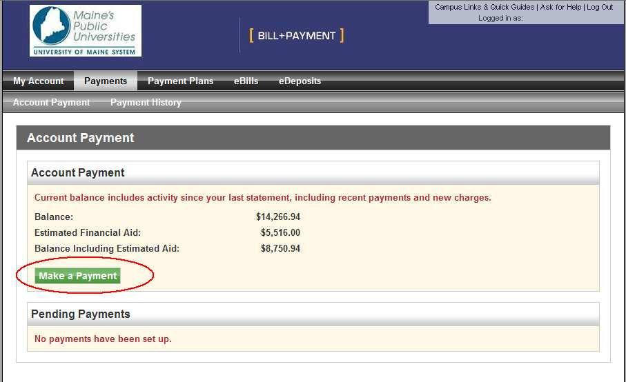 8. On the Account Payment page, your account balance information is presented again.