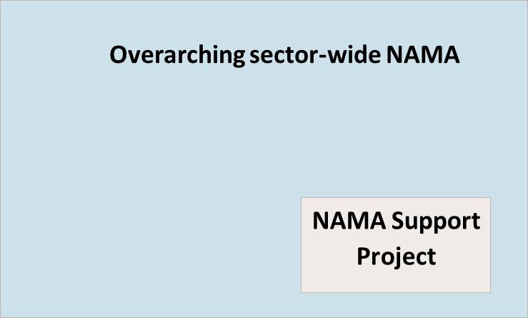 Fig. 1: NAMA vs. NAMA Support Project NAMA Support Projects can apply the full range of development cooperation instruments (see Fig. 2).