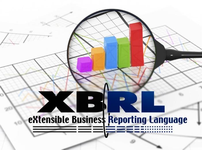 3 NEW SOLUTION AREAS IN FOCUS XBRL FILING SERVICES What is XBRL?