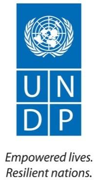 United Nations Development Programme Office of Audit and Investigations