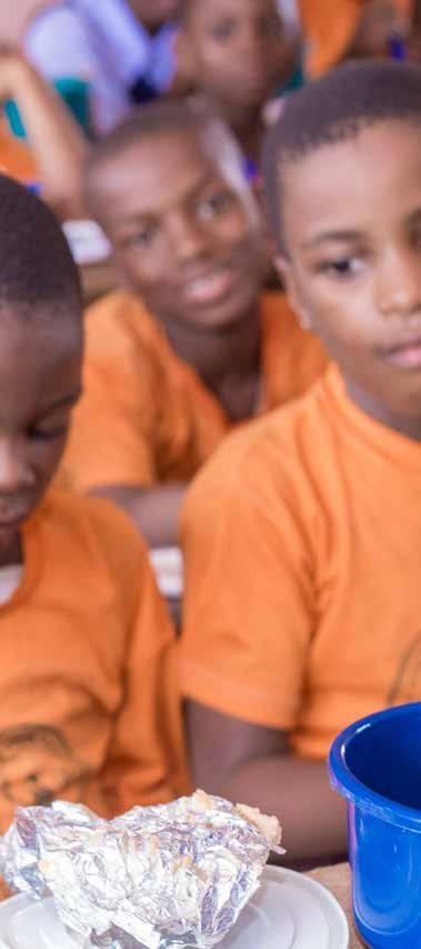 Overview The Home Grown School Feeding Concept The Nigerian Home Grown School Feeding (HGSF)program termed the National home grown school meal program (NHSMP) aims to deliver a government-led,
