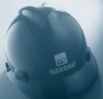 Gerdau s Value 41 Satisfied CUSTOMERS Accomplished PEOPLE SAFE Work Environment QUALITY in