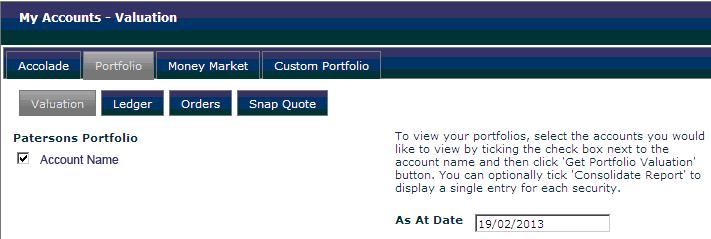 View your Portfolio Information The Portfolio tab provides information about your accounts.