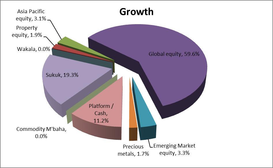 Growth Strategy 2016 To generate a high level of returns using a substantial part of the portfolio invested in equities.