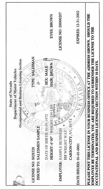 DMV Occupational License Sample