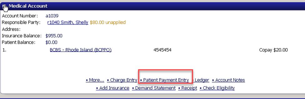 Patient Chart- Patient Payment
