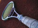 260 Essential Standard General Mathematics Exercise 6G 1 The cash price of a tennis racquet is $330. To buy it on hire-purchase requires a deposit of $30 and 12 equal monthly instalments of $28.