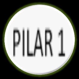 1st Pillar 2nd