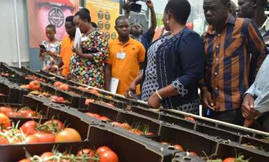 Farm equipment and materials such as irrigation systems, HP tractor, loading trailer, grain miller, biogas stove and building materials were given as awards to improve their processes.