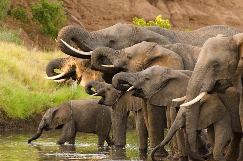 Elephant spotting Risk Retention under the CRR 3 perspective, repayment of the senior debt is principally dependent on the ability and skill of the sponsor or asset manager to work-out the portfolio.
