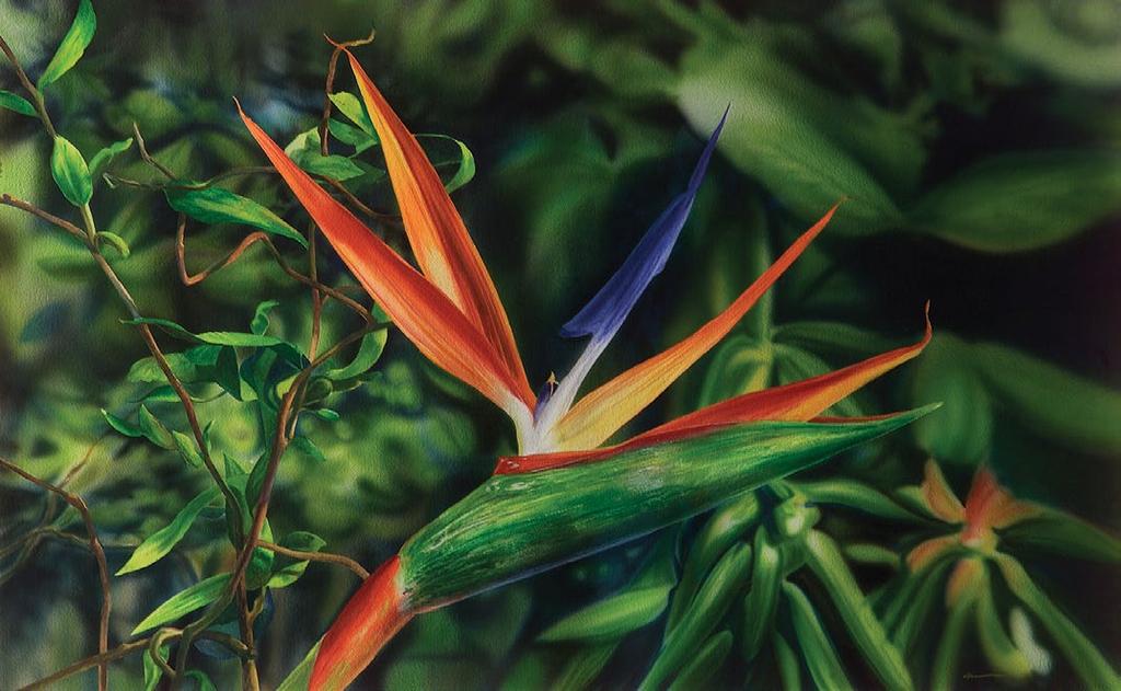 Invest in Value with Brandes CALL US TODAY. 800.237.7119 Artist: Kirk Lybecker Bird of Paradise No investment strategy can assure a profit or protect against loss.
