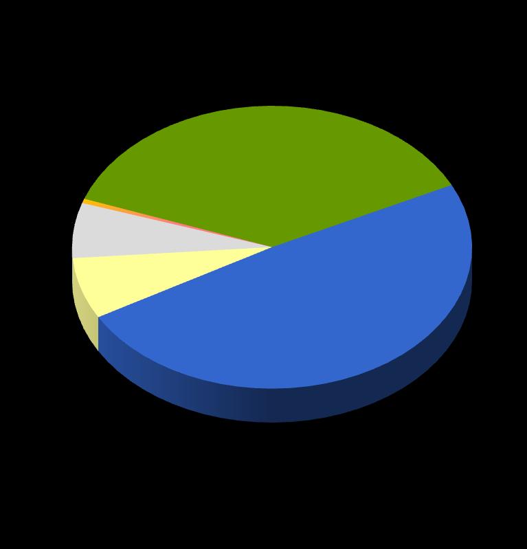 GEOGRAPHICAL DISTRIBUTION OF ACERINOX NET SALES Year 2012