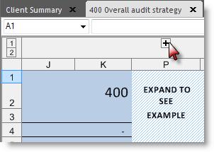 For comments / examples that may help with the completion of the audit