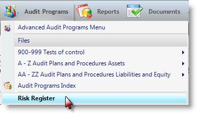 Select Audit Programs > Risk Register