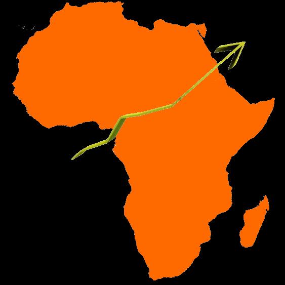AFRICAN MARKETS http://www.