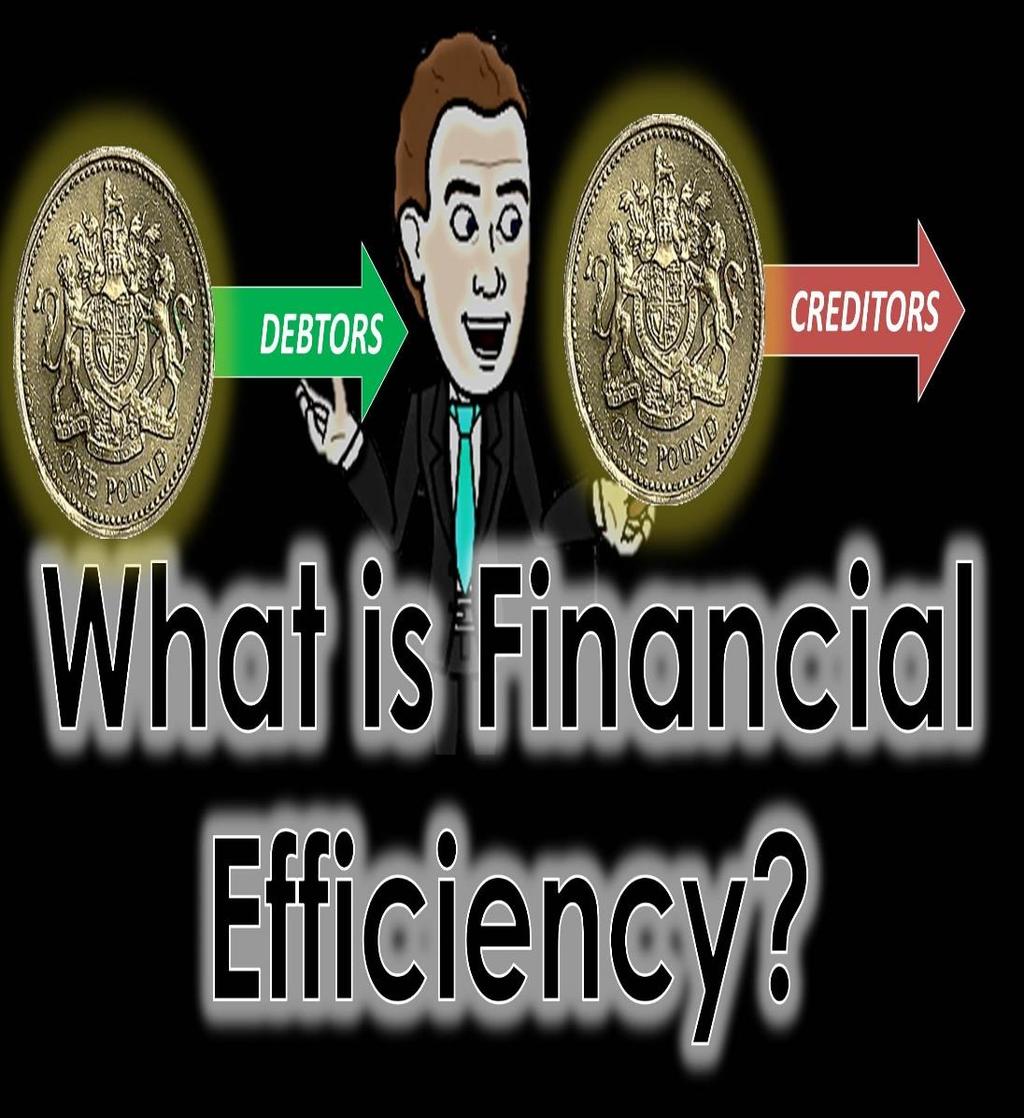 Efficiency Ratios Efficiency ratios measure the effective management and allocation of resources to the operating goals of the organization.