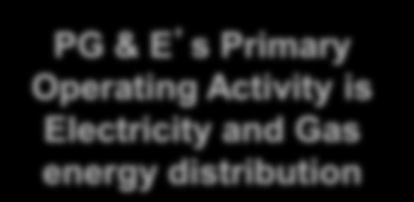 PG & E s Primary Operating Activity is Electricity and Gas