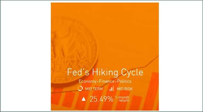 Themes Trading Feds Hiking Cycle After nearly a year since the US Federal Reserve s last interest rate hike, members are likely to raise the fed fund rate another 25bp in December 2016.